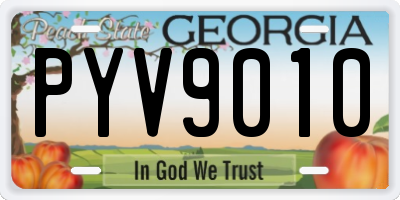 GA license plate PYV9010