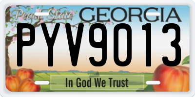 GA license plate PYV9013