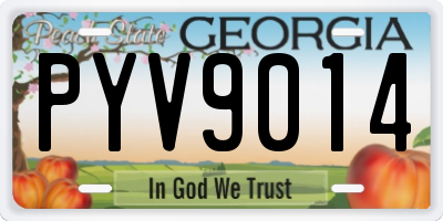 GA license plate PYV9014