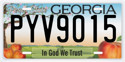 GA license plate PYV9015