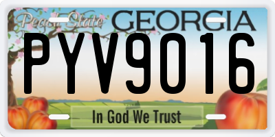 GA license plate PYV9016