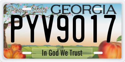 GA license plate PYV9017