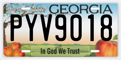GA license plate PYV9018