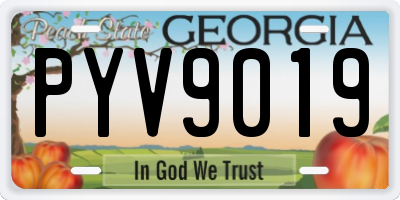 GA license plate PYV9019