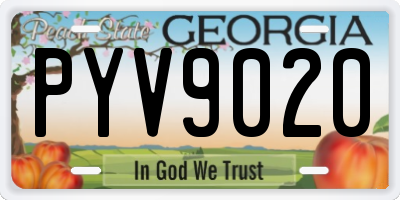 GA license plate PYV9020