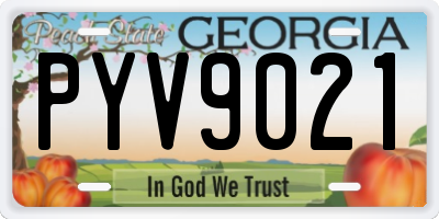 GA license plate PYV9021