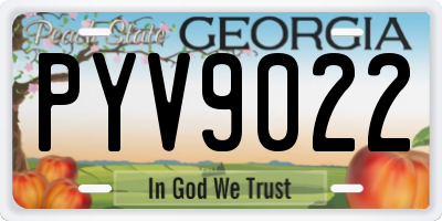 GA license plate PYV9022