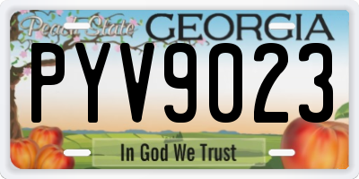GA license plate PYV9023