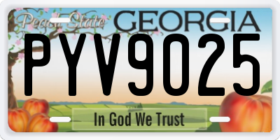 GA license plate PYV9025