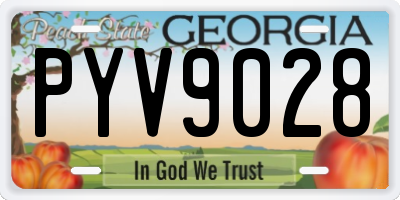 GA license plate PYV9028
