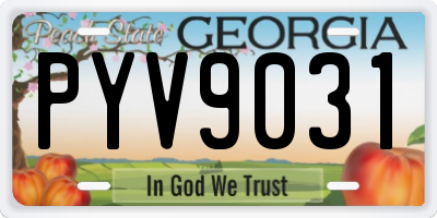 GA license plate PYV9031