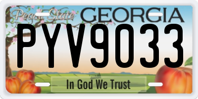 GA license plate PYV9033