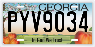 GA license plate PYV9034