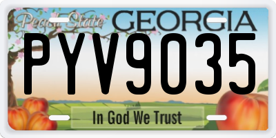 GA license plate PYV9035