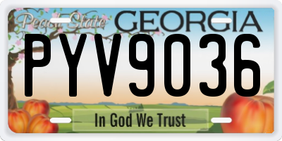 GA license plate PYV9036