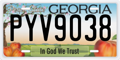 GA license plate PYV9038
