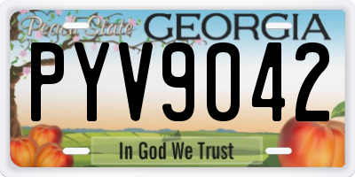 GA license plate PYV9042