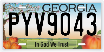 GA license plate PYV9043