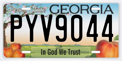 GA license plate PYV9044