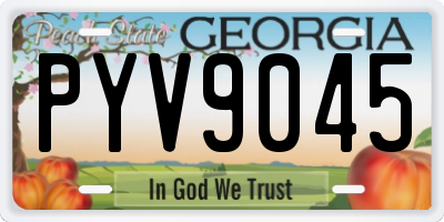 GA license plate PYV9045