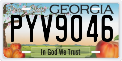 GA license plate PYV9046