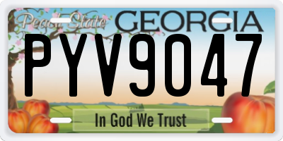 GA license plate PYV9047