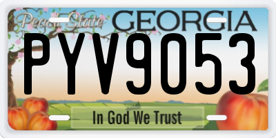 GA license plate PYV9053