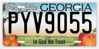 GA license plate PYV9055