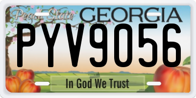 GA license plate PYV9056