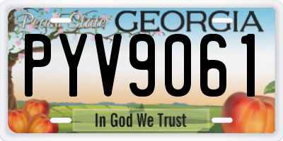 GA license plate PYV9061