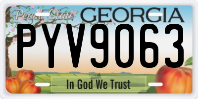 GA license plate PYV9063