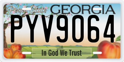 GA license plate PYV9064