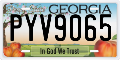 GA license plate PYV9065