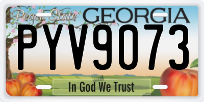 GA license plate PYV9073
