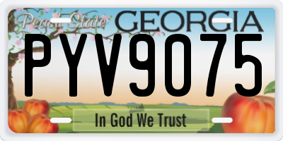 GA license plate PYV9075