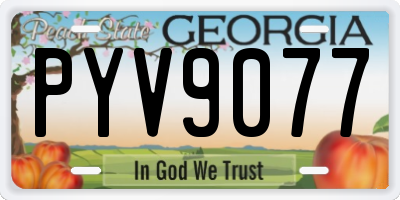 GA license plate PYV9077