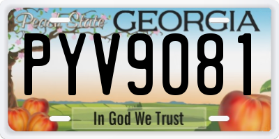 GA license plate PYV9081