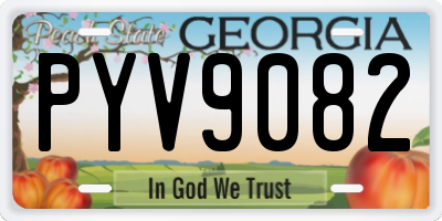 GA license plate PYV9082