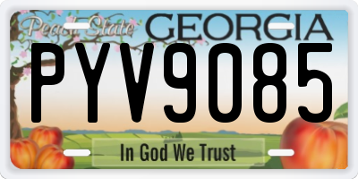 GA license plate PYV9085