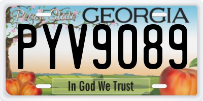 GA license plate PYV9089