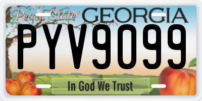 GA license plate PYV9099