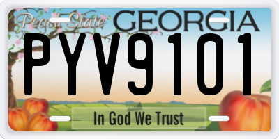 GA license plate PYV9101