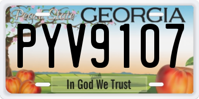 GA license plate PYV9107