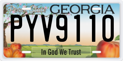 GA license plate PYV9110