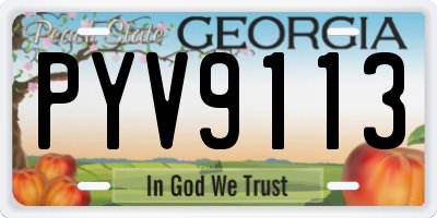 GA license plate PYV9113