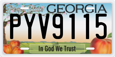 GA license plate PYV9115
