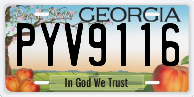 GA license plate PYV9116