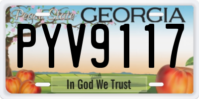 GA license plate PYV9117