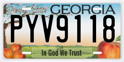 GA license plate PYV9118