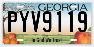 GA license plate PYV9119